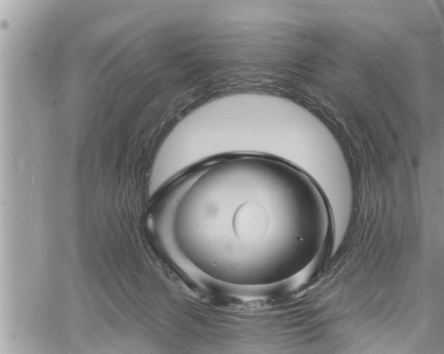 X0000060740079200511171108