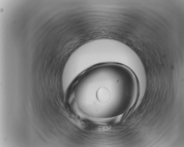 X0000060740080200511171108