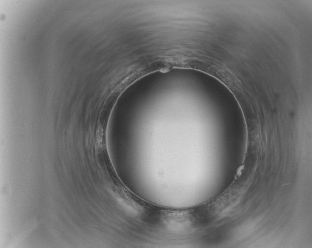 X0000060740081200511171108