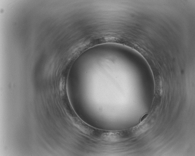 X0000060740082200511171108