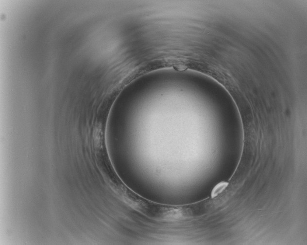 X0000060740083200511171108