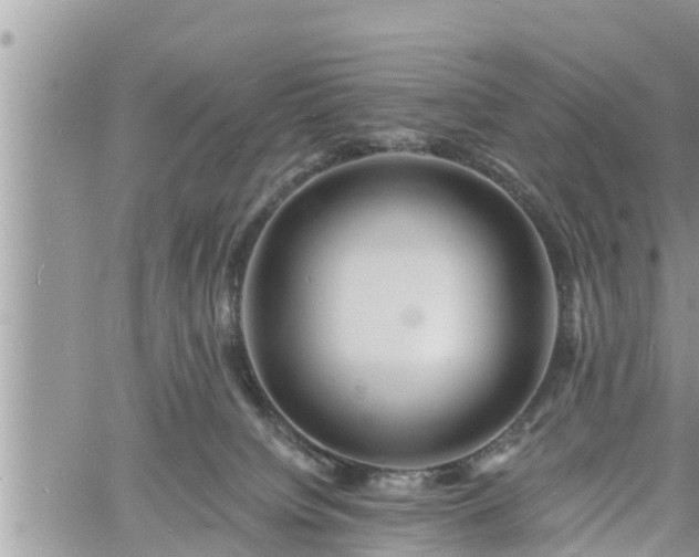 X0000060740084200511171108