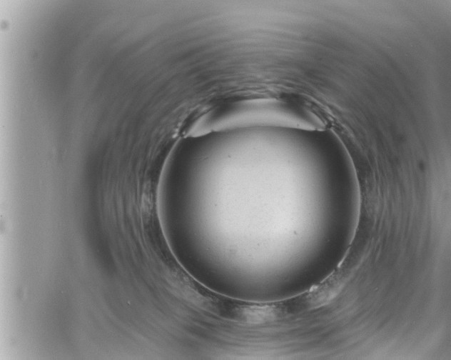 X0000060740085200511171108