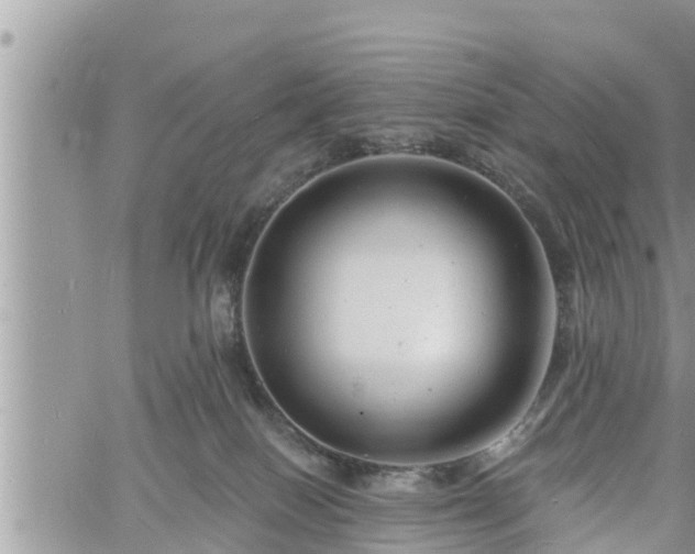 X0000060740086200511171108