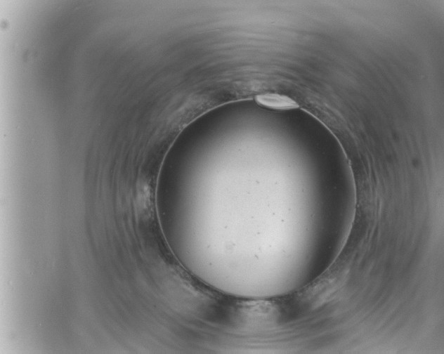 X0000060740087200511171108