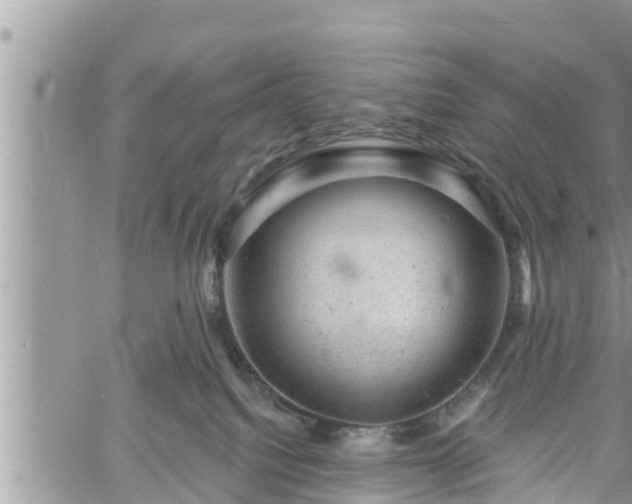 X0000060740088200511171108