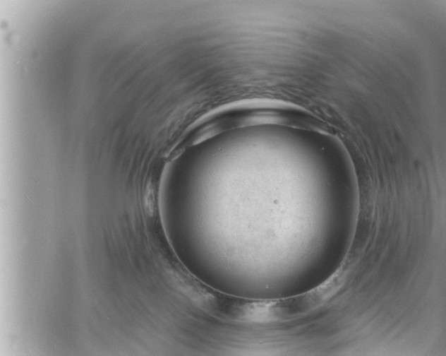 X0000060740090200511171108