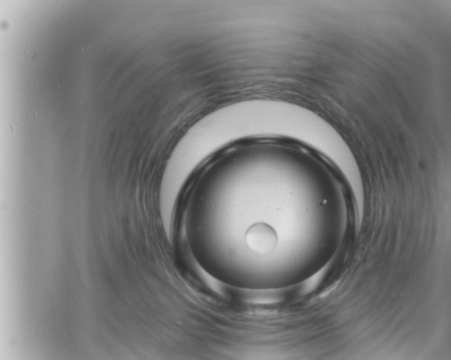 X0000060740091200511171108