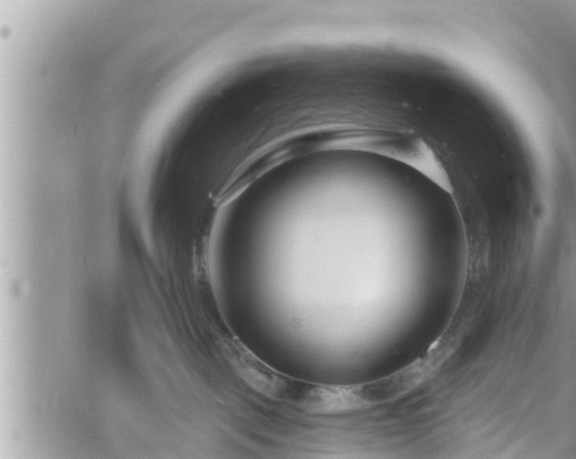 X0000060740093200511171108