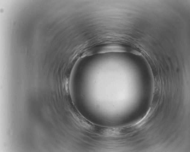 X0000060740094200511171108