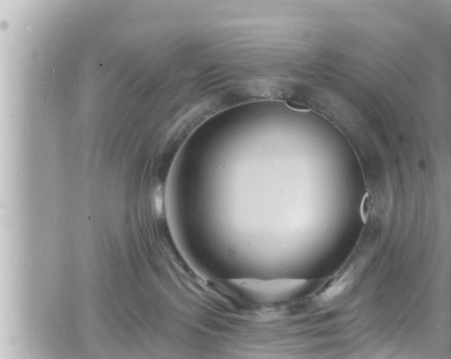 X0000060740095200511171108