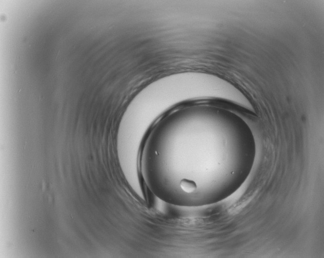 X0000060740096200511171108