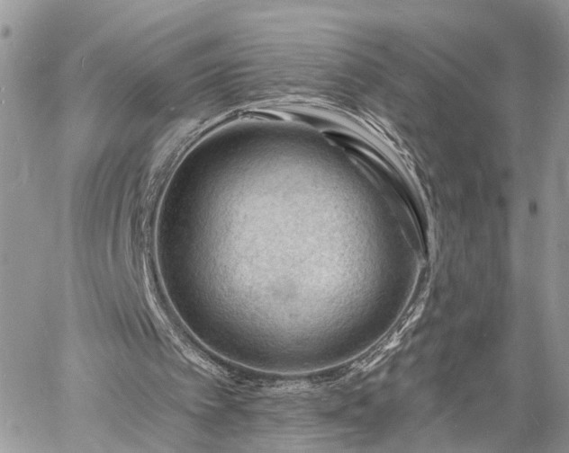 X0000060740097200511171107