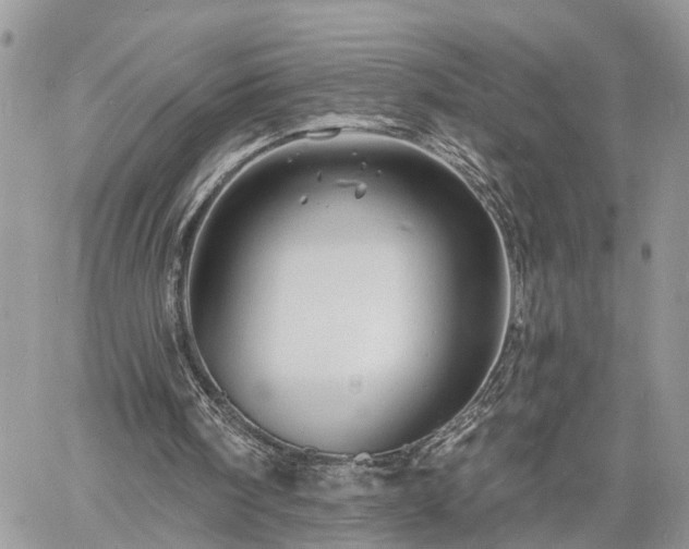 X0000060740098200511171107