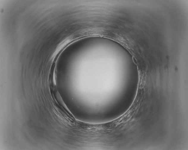 X0000060740099200511171107