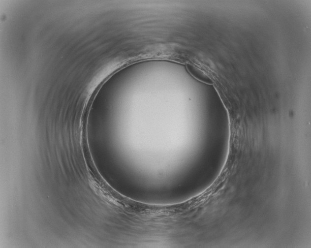 X0000060740100200511171107