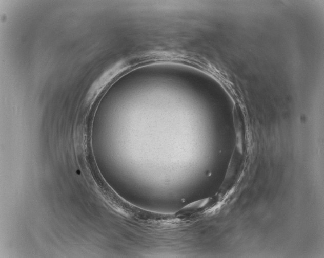 X0000060740103200511171107