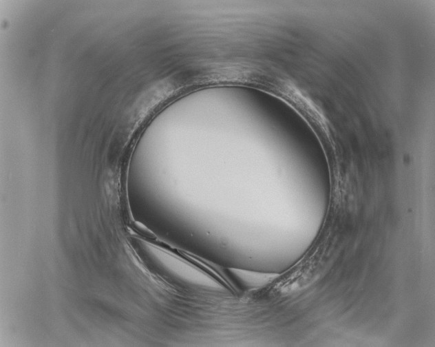 X0000060740107200511171107