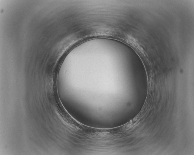 X0000060740108200511171107