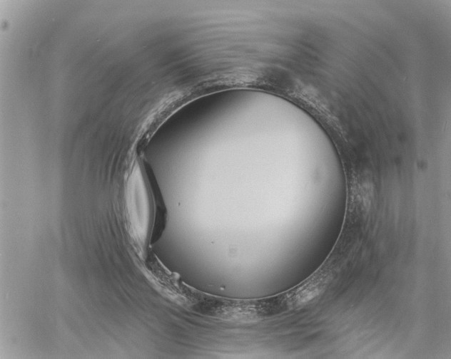 X0000060740110200511171107