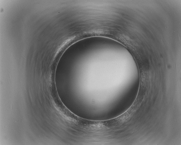 X0000060740112200511171107