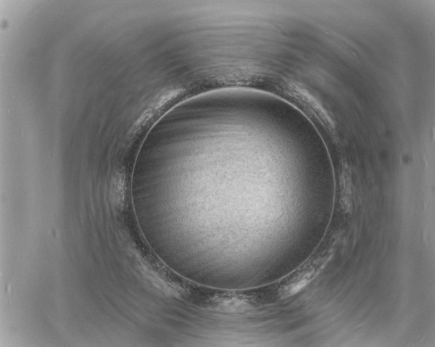 X0000060740113200511171107