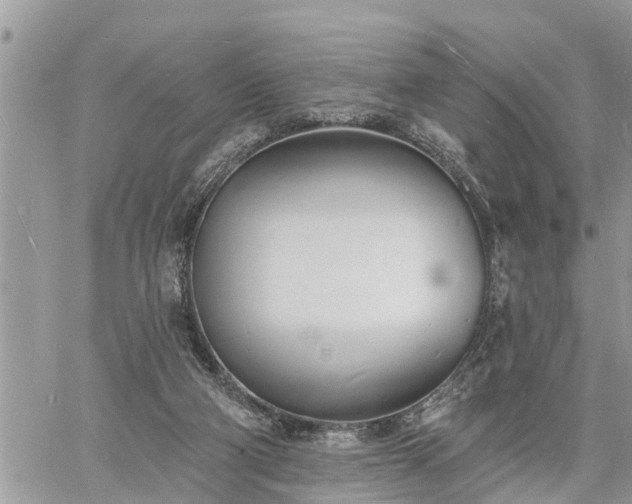 X0000060740114200511171107