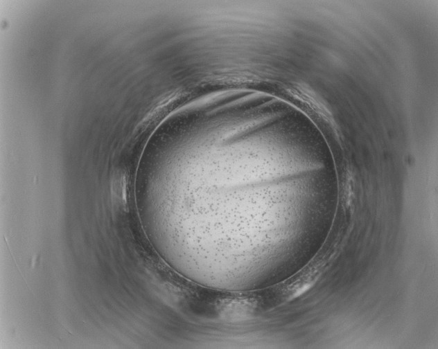 X0000060740115200511171107