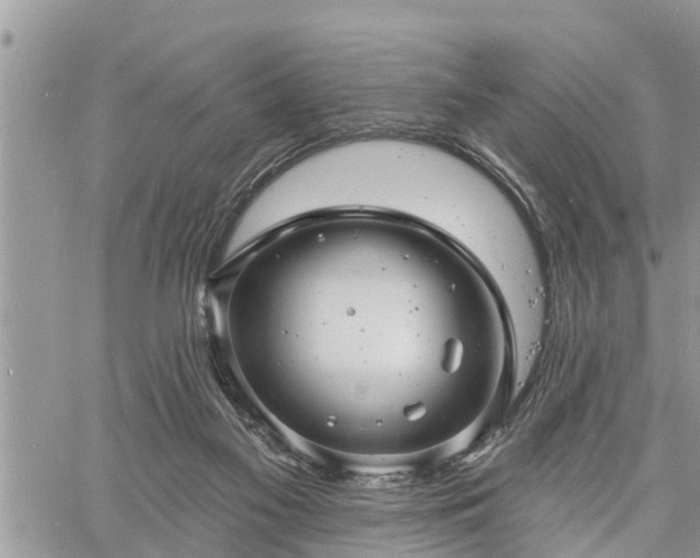 X0000060740117200511171107