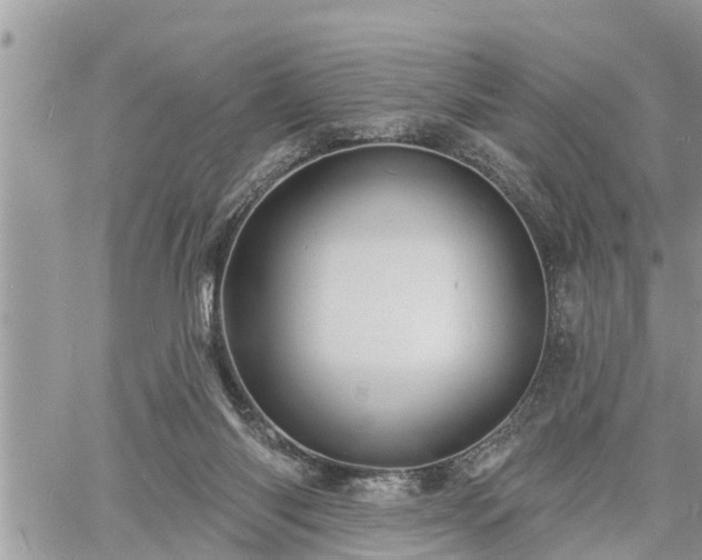 X0000060740118200511171107