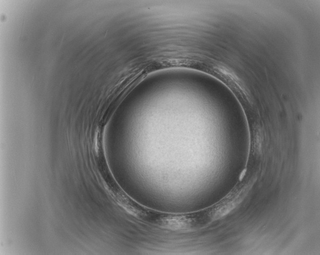 X0000060740121200511171107