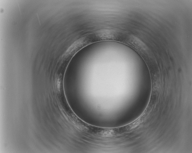 X0000060740124200511171107