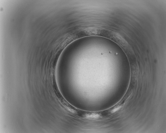 X0000060740125200511171107