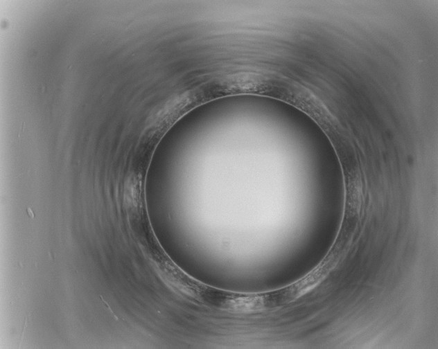 X0000060740126200511171107