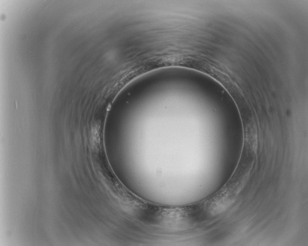 X0000060740127200511171107