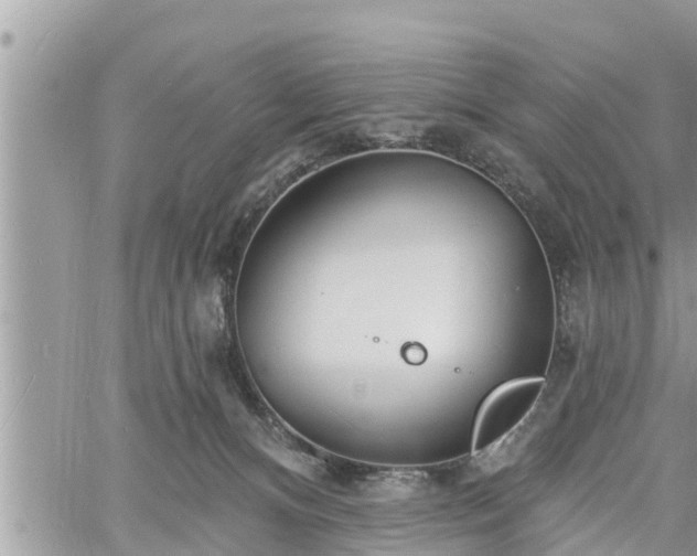 X0000060740128200511171107