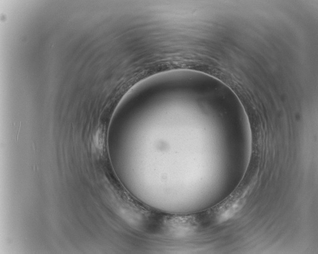 X0000060740129200511171107