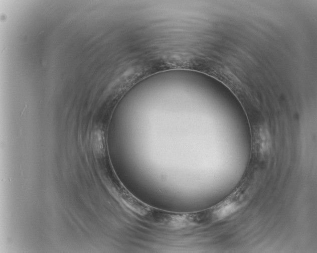 X0000060740130200511171107