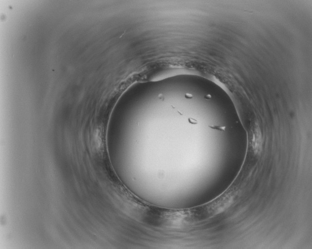 X0000060740131200511171107