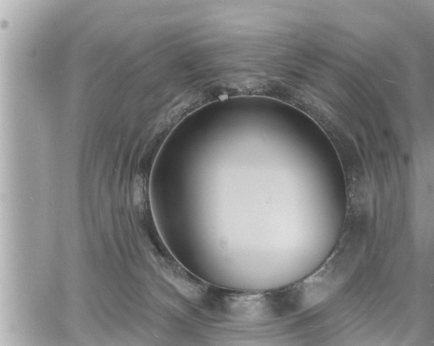 X0000060740132200511171107