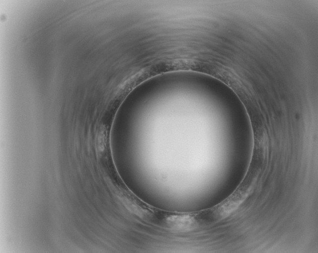 X0000060740133200511171107