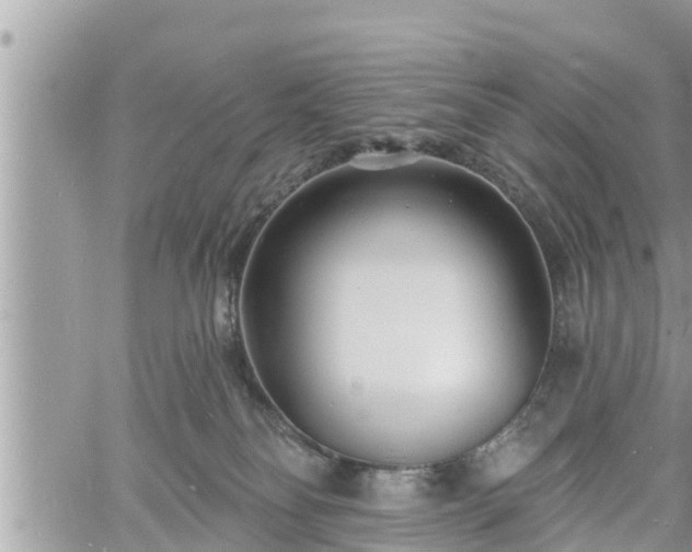 X0000060740134200511171107