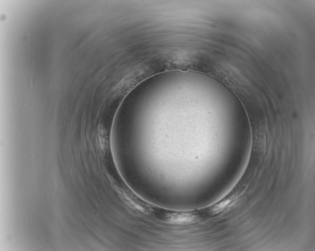 X0000060740135200511171107