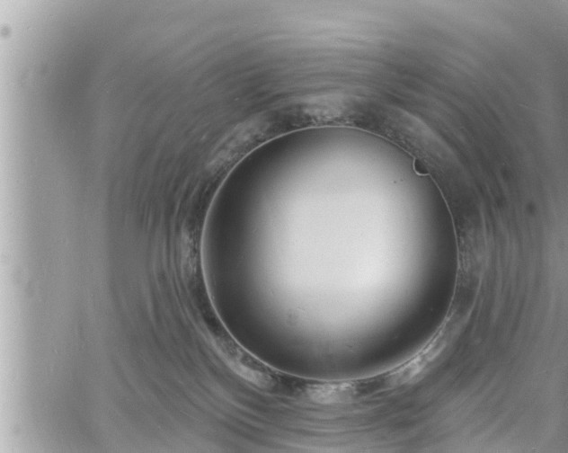 X0000060740136200511171107