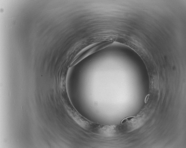 X0000060740138200511171107