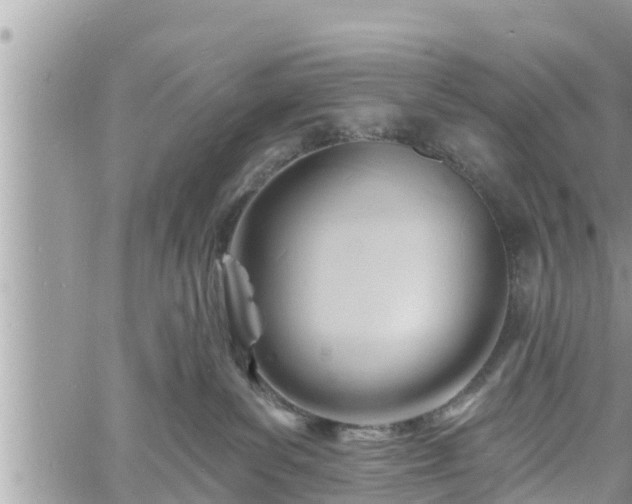 X0000060740139200511171107