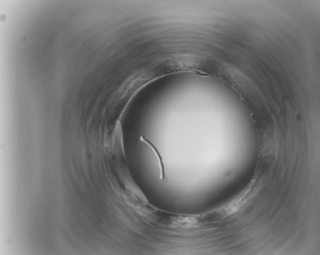 X0000060740140200511171106