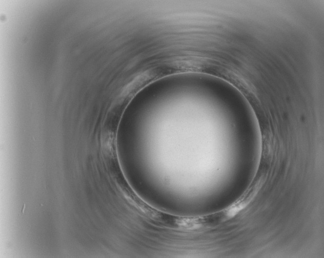 X0000060740141200511171106