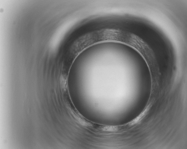 X0000060740142200511171106