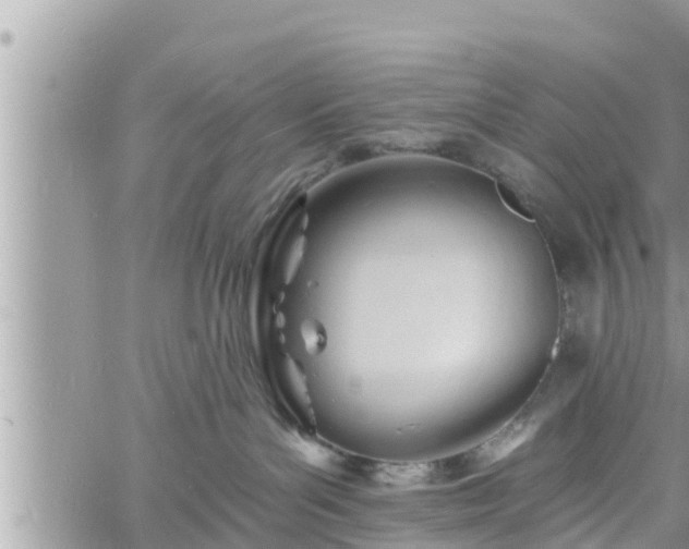 X0000060740143200511171106